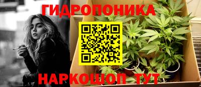 тгк Будённовск